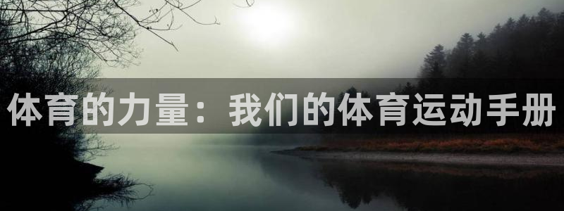 JJB竞技宝官方正版app五金厂：体育的力量：我们的体育运动