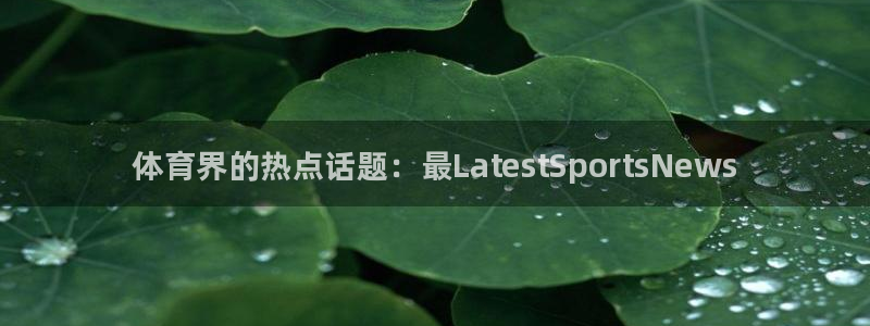 JJB竞技宝官网下载招商：体育界的热点话题：最LatestS