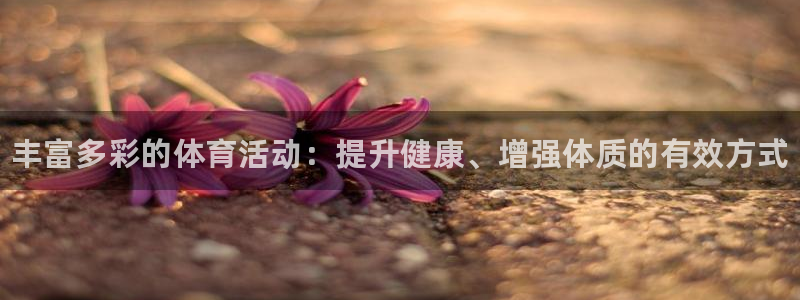 JJB竞技宝官网下载平台注册要钱吗安全吗：丰富多彩的体育活动