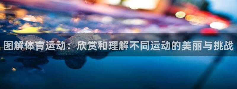 德国JJB竞技宝官方正版app集团：图解体育运动：欣赏和理解
