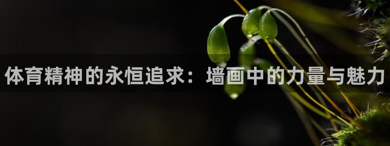 JJB竞技宝官方正版app集团官网首页：体育精神的永