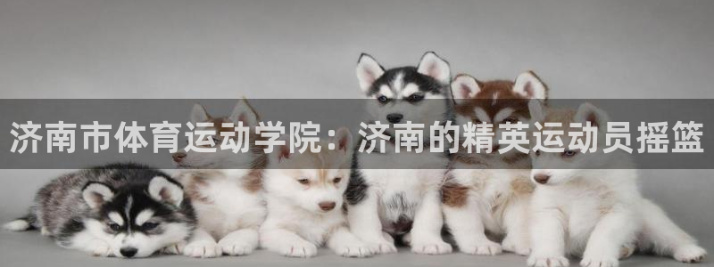JJB竞技宝官网下载平台是正规平台吗：济南市体育运动学院：济