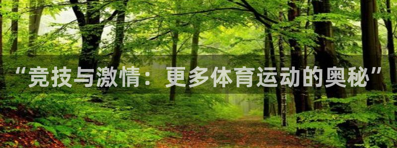 JJB竞技宝官网下载招商电话：“竞技与激情：更多体育运动的奥