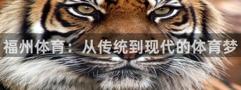 JJB竞技宝官网下载招商电话号码是多少号：福州体育：