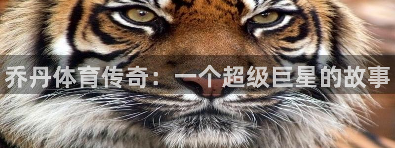 JJB竞技宝官方正版app集团E.ON：乔丹体育传奇：一个超