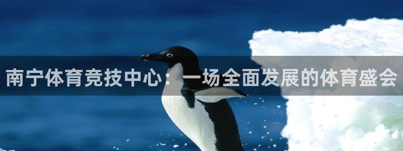 JJB竞技宝官网下载平台注册要钱吗安全吗：南宁体育竞技中心：