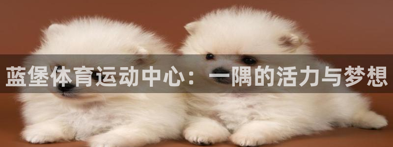 JJB竞技宝官方正版app娱乐首页网站大全：蓝堡体育运动中心