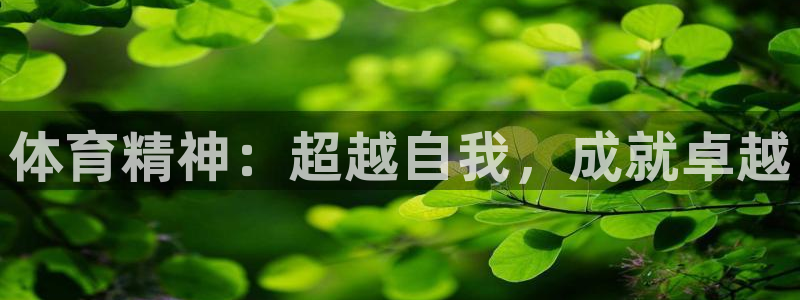 JJB竞技宝官网下载招商电话号码查询是多少：体育精神
