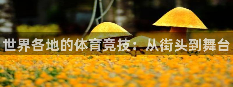 竞技宝不能提现：世界各地的体育竞技：从街头到舞台
