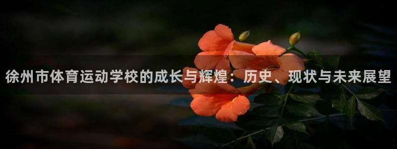 竞技宝官网登录不了：徐州市体育运动学校的成长与辉煌：历史、现