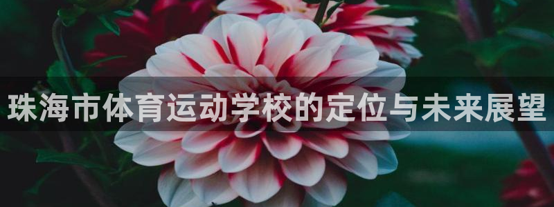  竞技宝电竞：珠海市体育运动学校的定位与未来展望