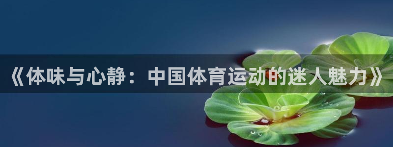 竞技宝app下载：《体味与心静：中国体育运动的迷人魅力》