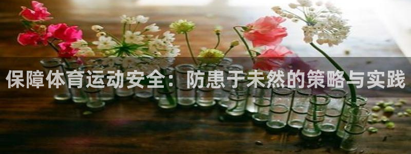  竞技宝黑钱吗：保障体育运动安全：防患于未然的策略与实践