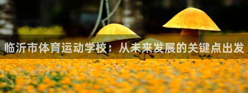 竞技宝软件下载：临沂市体育运动学校：从未来发展的关键点出发