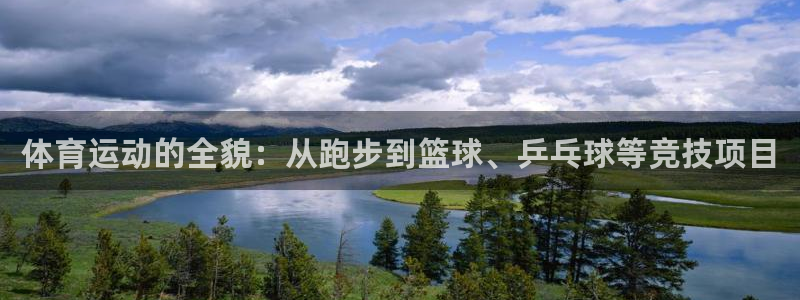  竞技宝下载：体育运动的全貌：从跑步到篮球、乒乓球等竞技项目