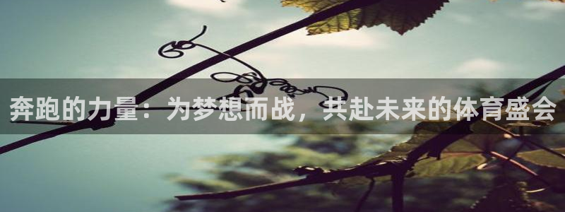  竞技宝官方测速：奔跑的力量：为梦想而战，共赴未来的体育盛会