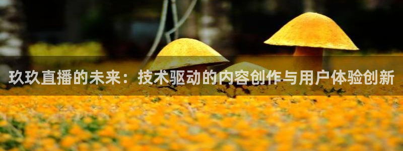 蜘蛛nba直播免费观看：玖玖直播的未来：技术驱动的内容创作与用户体验创新